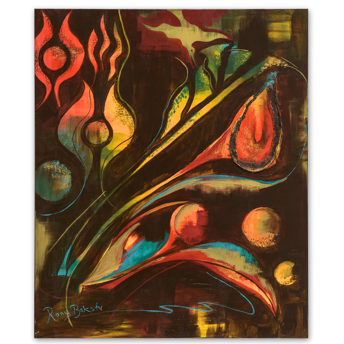 Roni Bakshi, Brown 6